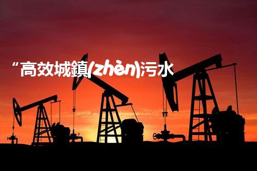 “高效城鎮(zhèn)污水處理流程，守護(hù)碧水藍(lán)天新篇章”